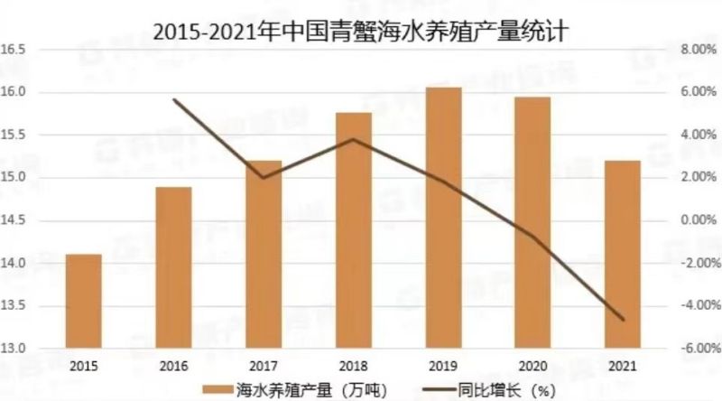 擅长“挖洞”的小螃蟹——拟穴青蟹