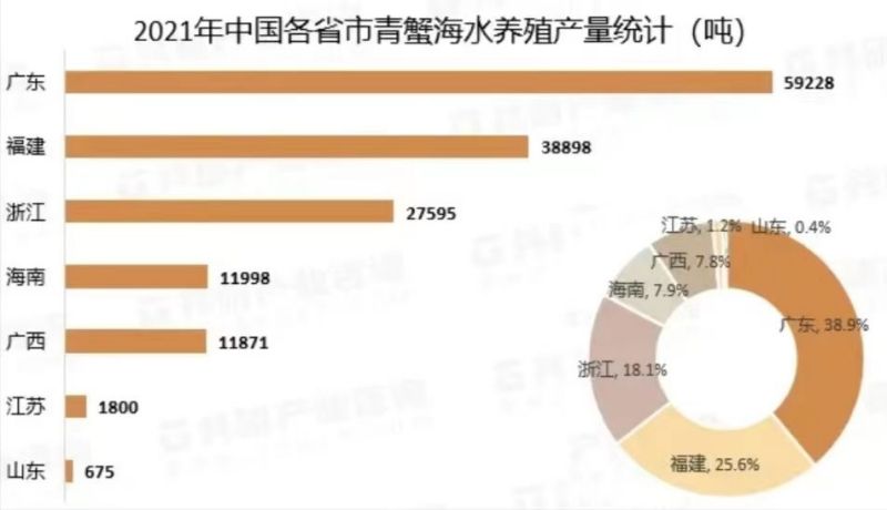 擅长“挖洞”的小螃蟹——拟穴青蟹