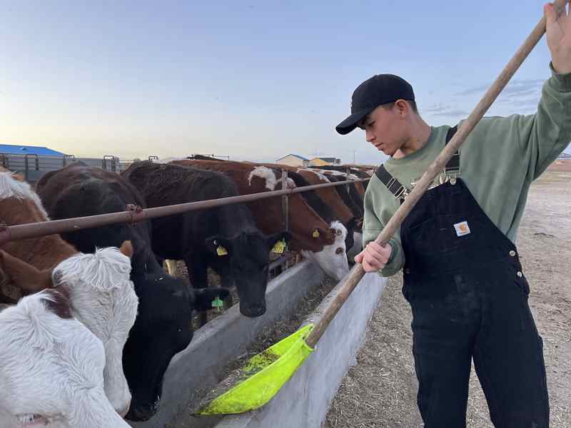 “海”的归处是草原：海归90后的绿色农业梦