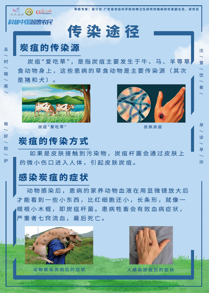 一图读懂：炭疽传染途径及防护建议