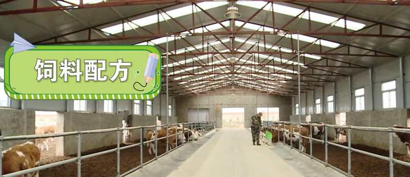 【一线调研·下田故事】发展肉牛全产业链体系 让肉牛产业真正“牛”起来