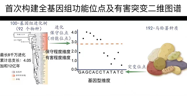 育种如何“少走弯路”？“进化透镜”给出答案