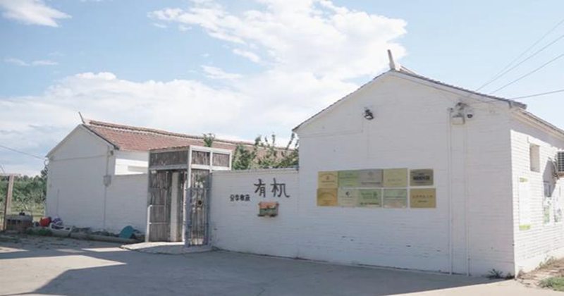 【一线调研·科技小院】种在地里的“毕业论文”