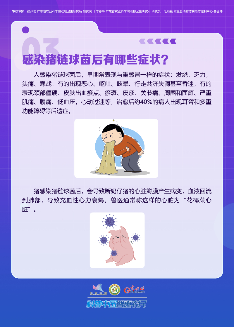 【智农挂图】了解人畜共患病：夏季来临，谨防猪链球菌感染