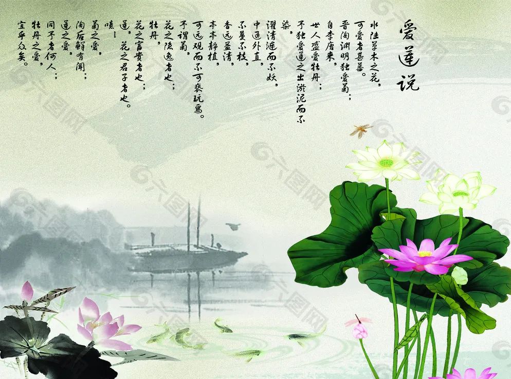 荷花为什么被公认为盛夏花卉的C位?