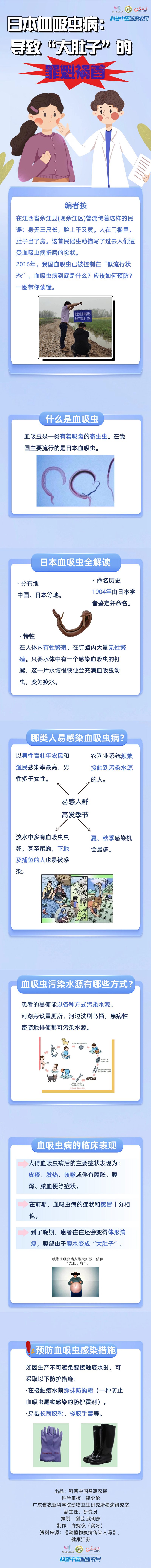 【智农图解】日本血吸虫病：导致“大肚子”的罪魁祸首