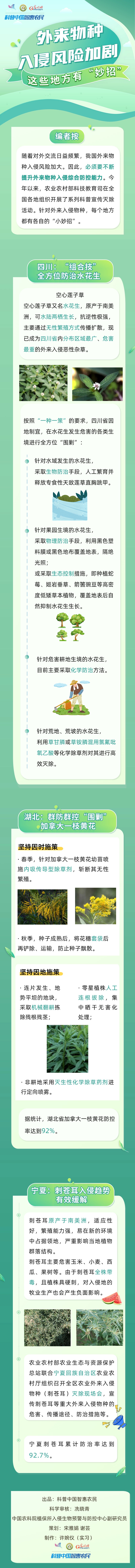 外来物种入侵风险加剧怎么办？这些地方有“妙招”