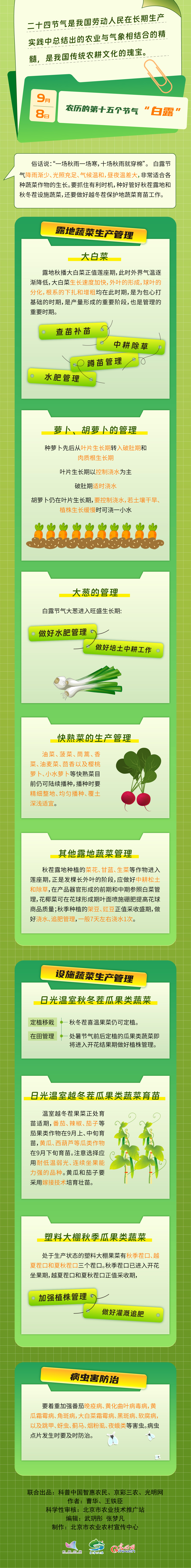 【智农图解】节气话农事｜白露时节，秋菜种植正当