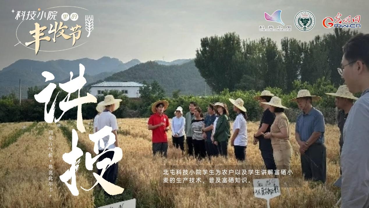 【科技小院里的丰收节】北屯小院丰收忙，乡村振兴添动力