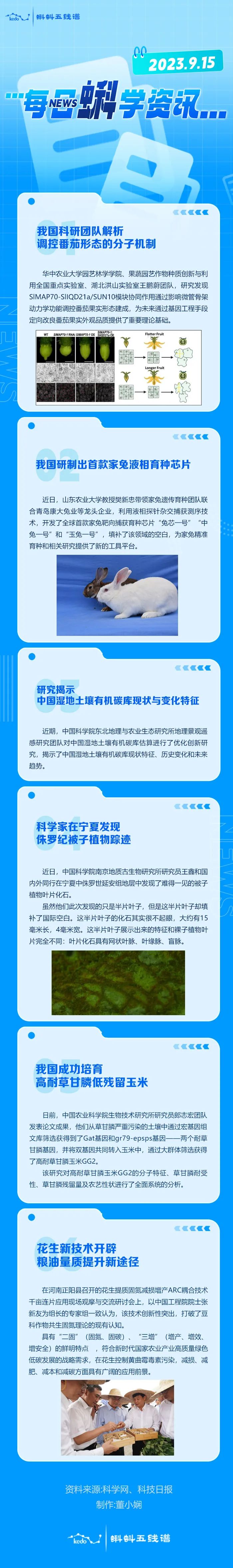 每日蝌学资讯 | 我国科研团队解析调控番茄形态的分子机制；我国研制出首款家兔液相育种芯片