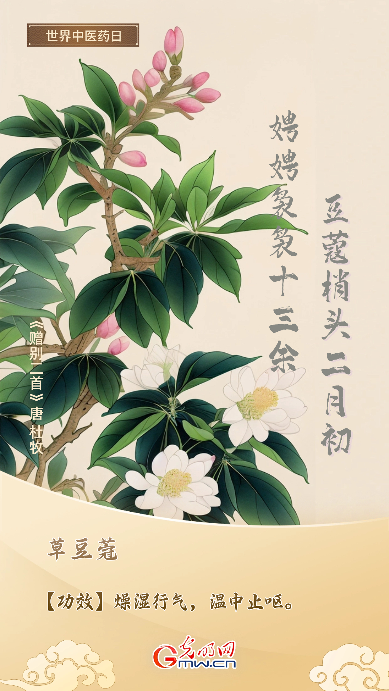 世界中医药日｜藏在诗词里的中药材 在AI眼中竟然这么美