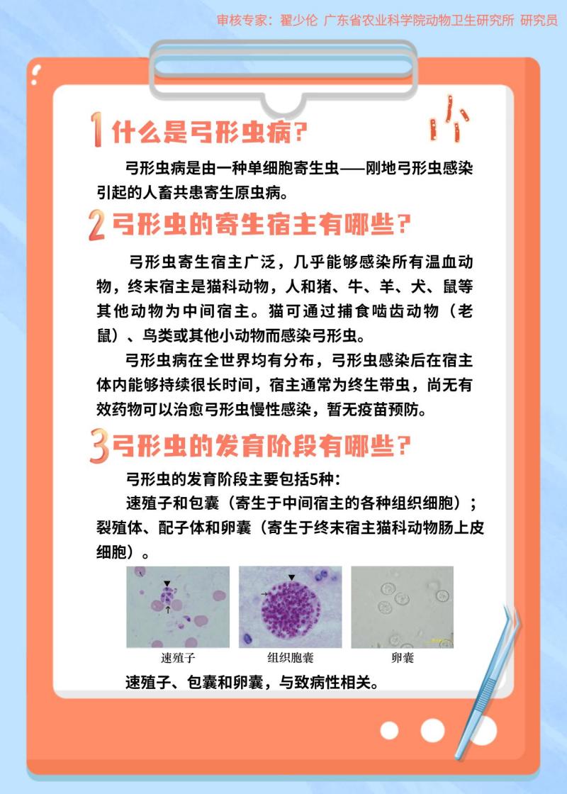 【智农挂图】了解人畜共患病：“寄生”在健康之上的弓形虫