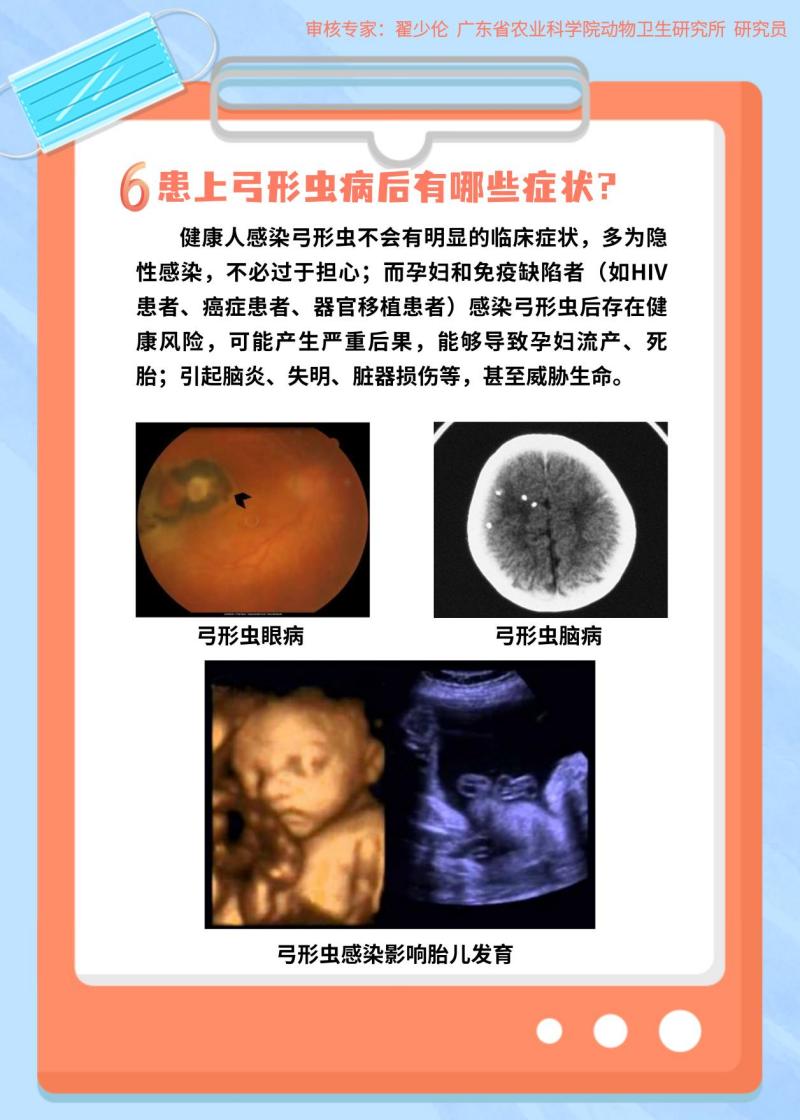 【智农挂图】了解人畜共患病：“寄生”在健康之上的弓形虫