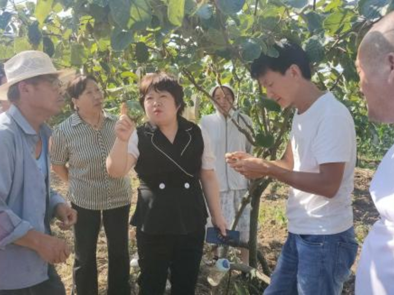 陈永利：情系三农勤耕耘，扎根沃土践使命