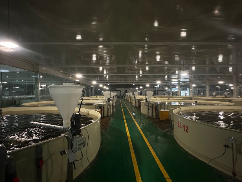 【大美湿地 润泽齐鲁】在济宁,遇见亚洲最大草甸型湖泊湿地 【大美湿地 润泽齐鲁】在济宁,遇见亚洲最大草甸型湖泊湿地