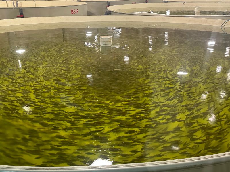 【大美湿地 润泽齐鲁】在济宁,遇见亚洲最大草甸型湖泊湿地 【大美湿地 润泽齐鲁】在济宁,遇见亚洲最大草甸型湖泊湿地