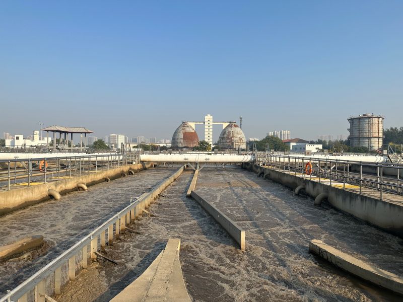 【大美湿地 润泽齐鲁】风景区化身“净水器” 人工湿地让污水变清流 【大美湿地 润泽齐鲁】风景区化身“净水器” 人工湿地让污水变清流