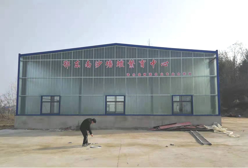 陈文:退伍兵用“憨劲”做大“稻虾憨”产业 陈文:退伍兵用“憨劲”做大“稻虾憨”产业