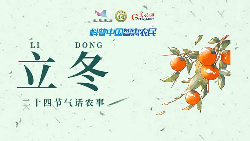 【二十四节气话农事】立冬:倏忽秋又尽,寒意渐入冬 【二十四节气话农事】立冬:倏忽秋又尽,寒意渐入冬