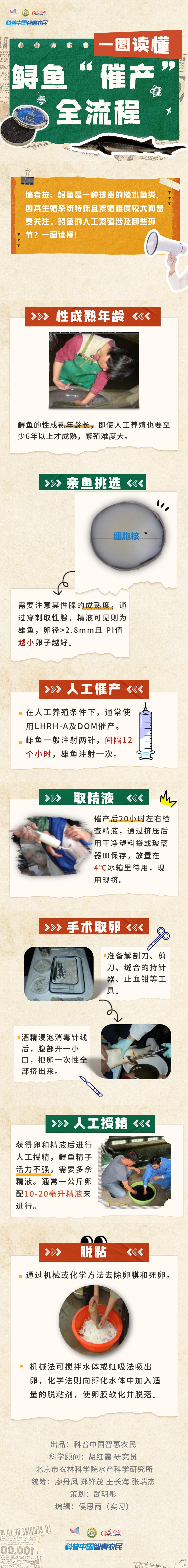 【智惠农民】一图读懂——鲟鱼“催产”全流程