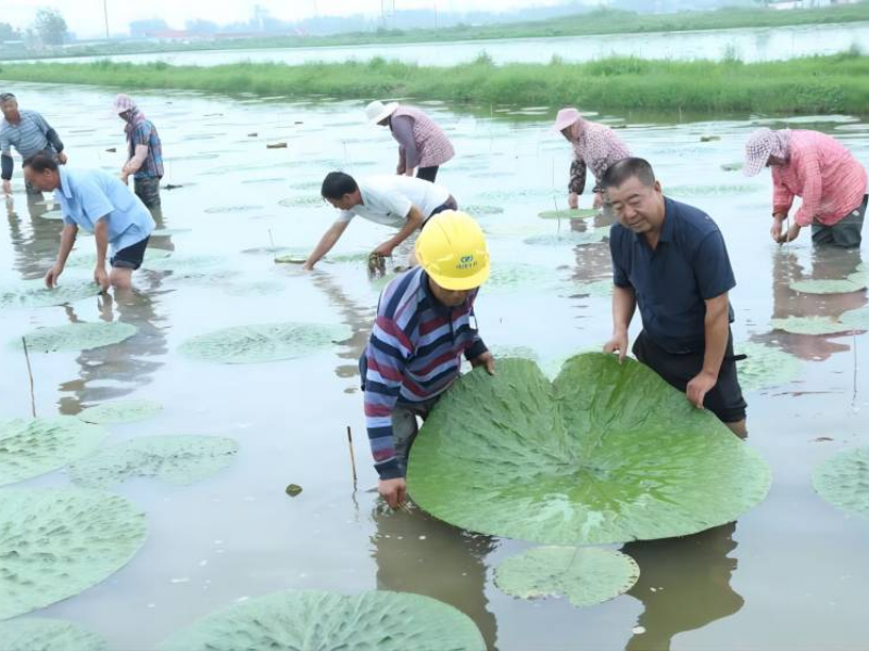 尤为平：科技金钥匙 扭开致富锁