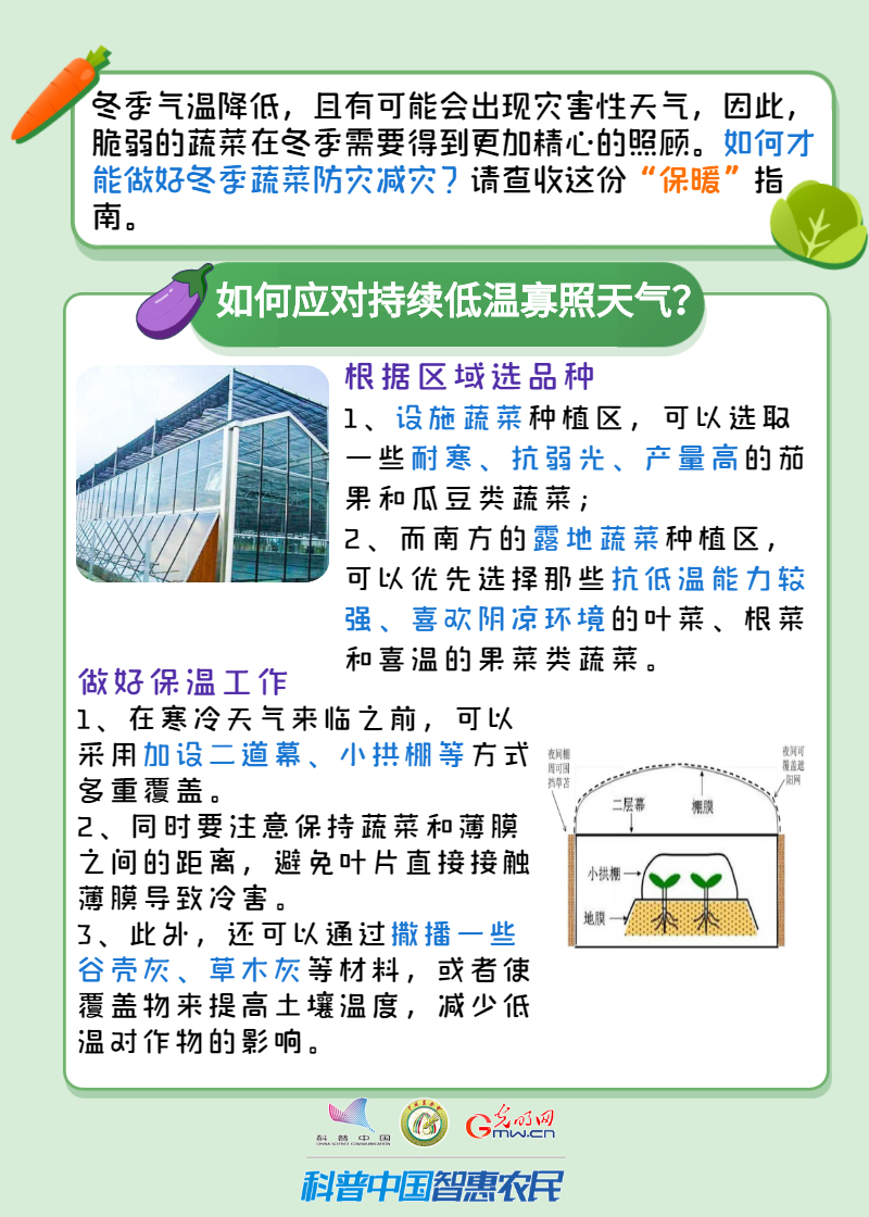 【智农挂图】冬季蔬菜“保暖”指南