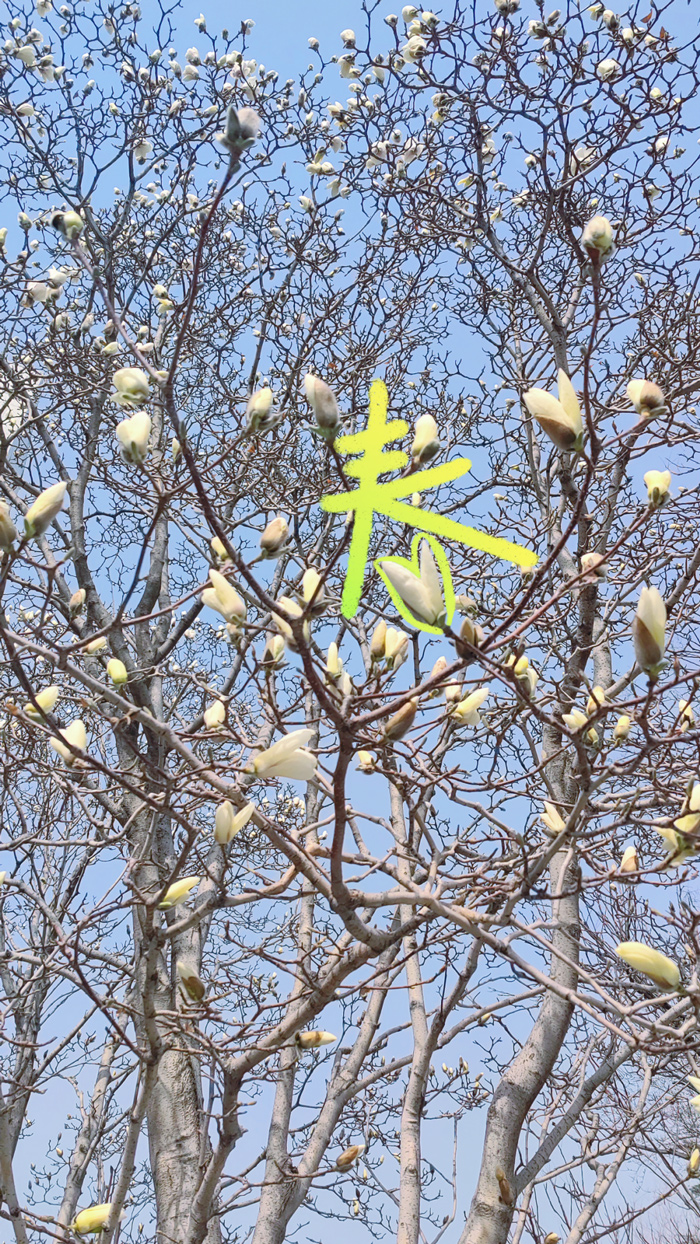 镜头里的北京科学中心 | 疑花疑鸟