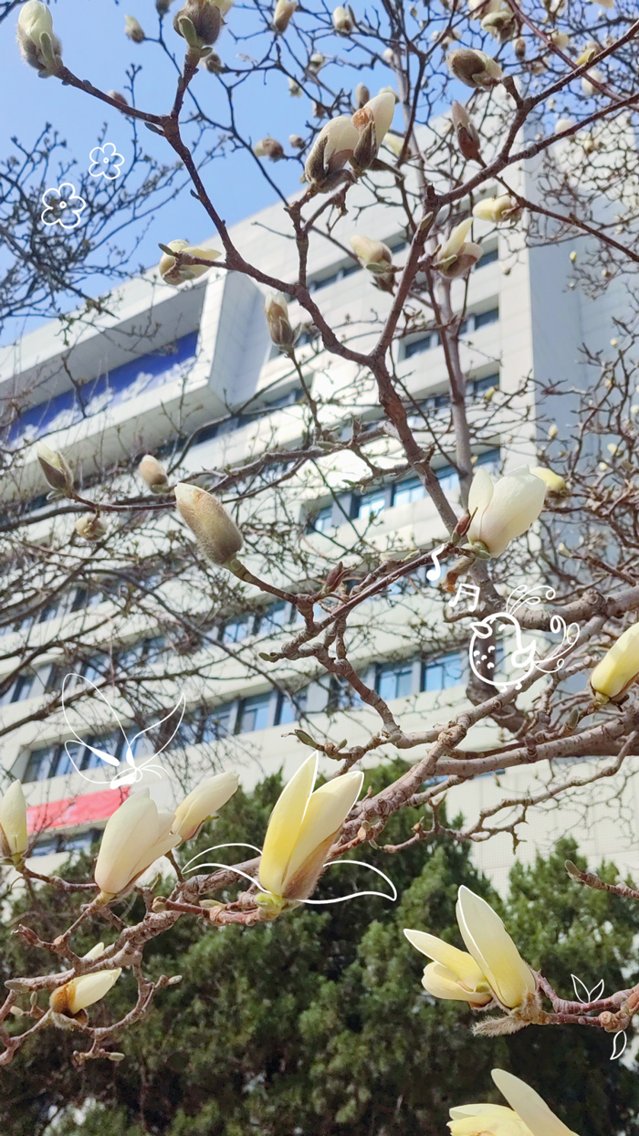 镜头里的北京科学中心 | 疑花疑鸟