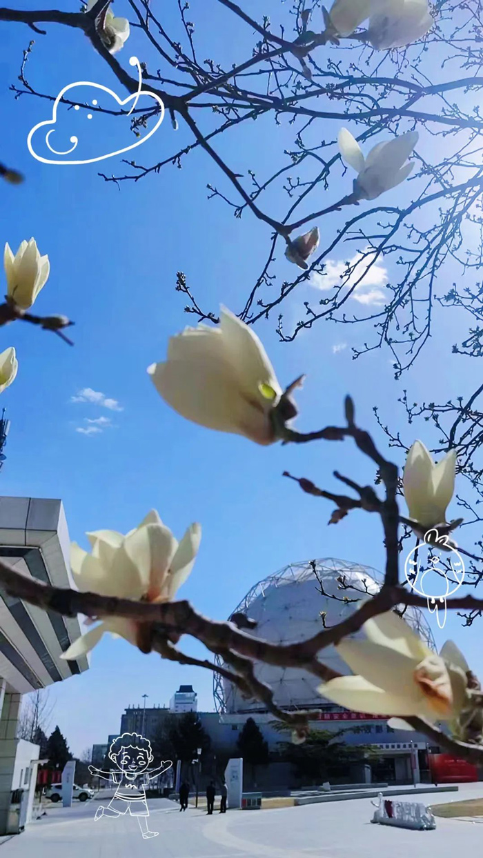 镜头里的北京科学中心 | 疑花疑鸟