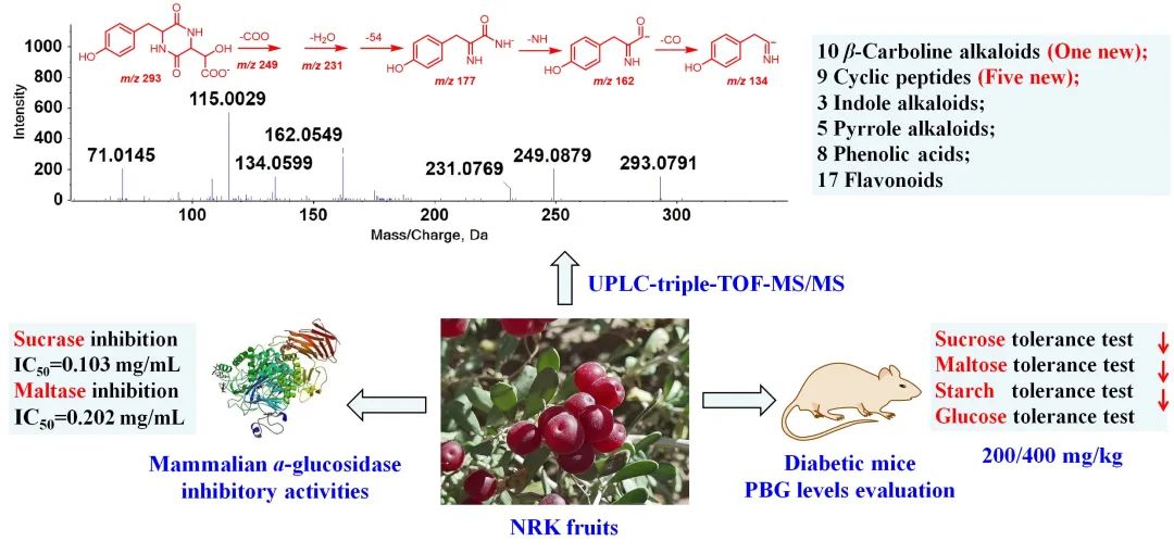 科技资讯｜同济大学提出一种新型有机污染物降解策略等