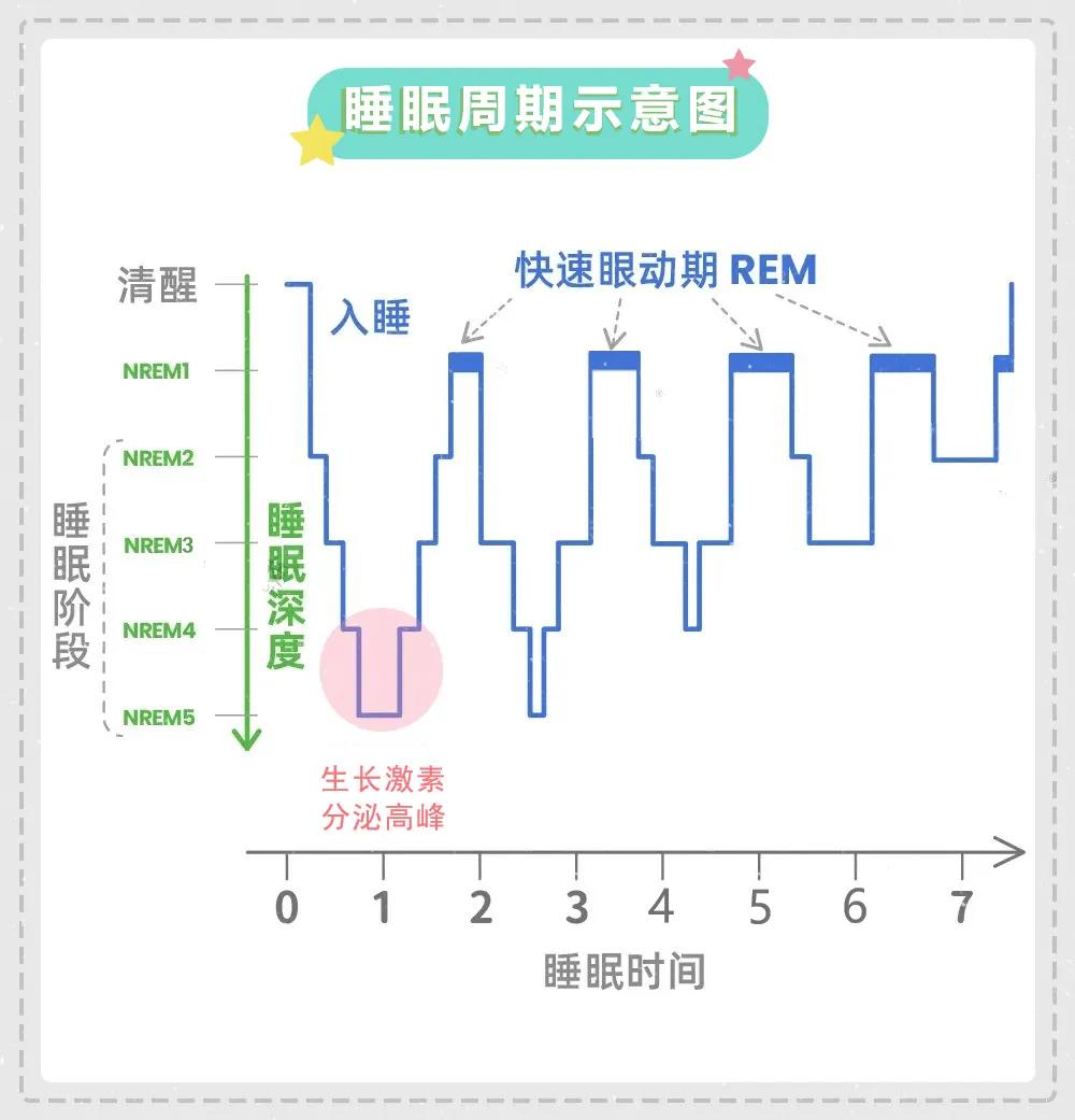 迷糊时说胡话：揭秘大脑剧场的“神秘演出”