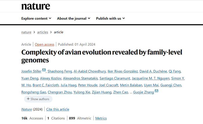 【顶刊论文解读】重构鸟类“生命之树”！科学家拨开百年迷雾