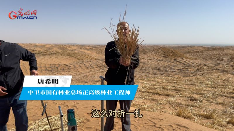 林草科普｜“草方格”沙障如何治沙？