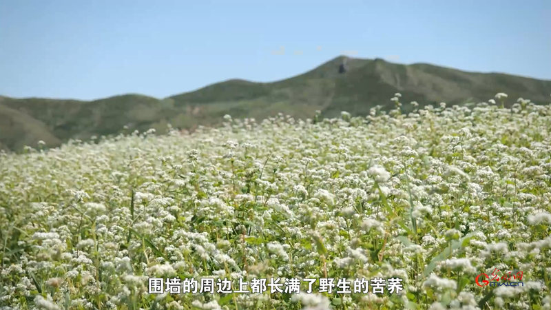 丰收有我丨万里“追种”路，风景变“丰”景