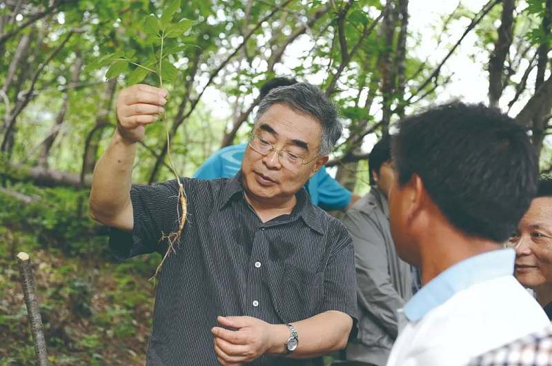 【锚定2035·院士谈科学报国】中药现代化为世界提供中国办法 【锚定2035·院士谈科学报国】中药现代化为世界提供中国办法