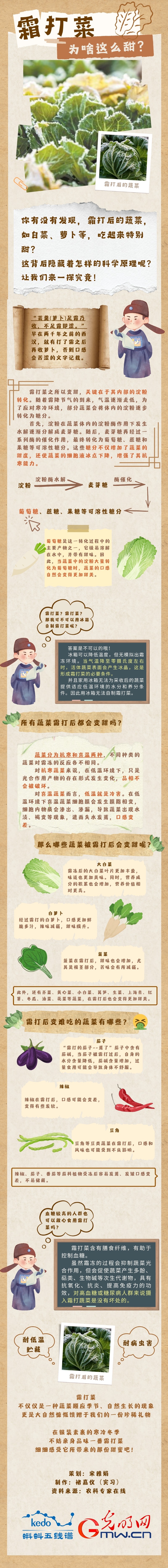 可视化｜霜打菜，为什么这么甜？