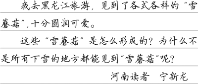 “雪蘑菇”是怎么“冒”出来的?