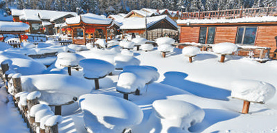 “雪蘑菇”是怎么“冒”出来的?