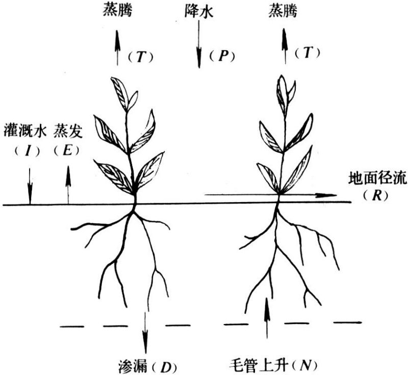 【大国粮策】作物“喝水”不再愁，这项技术给玉米地装上“智慧水龙头”