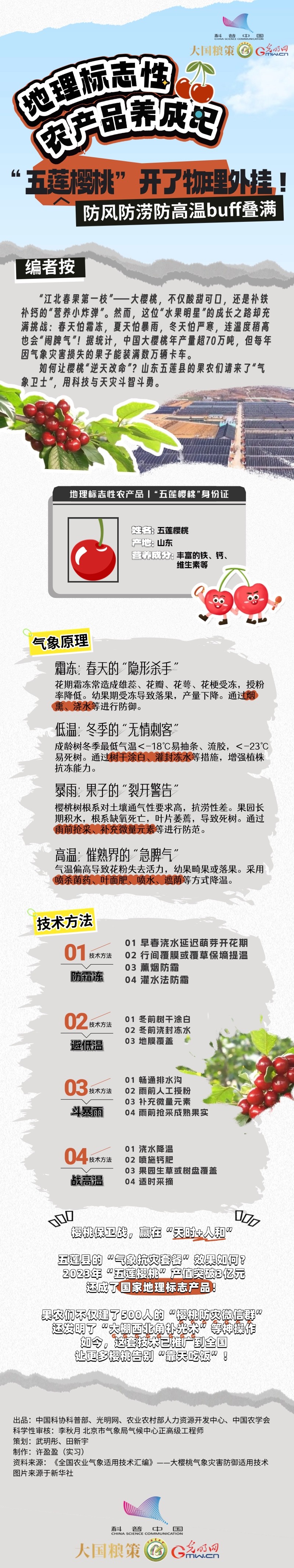 【大国粮策】地理标志性农产品养成记 | “五莲樱桃”开了物理外挂