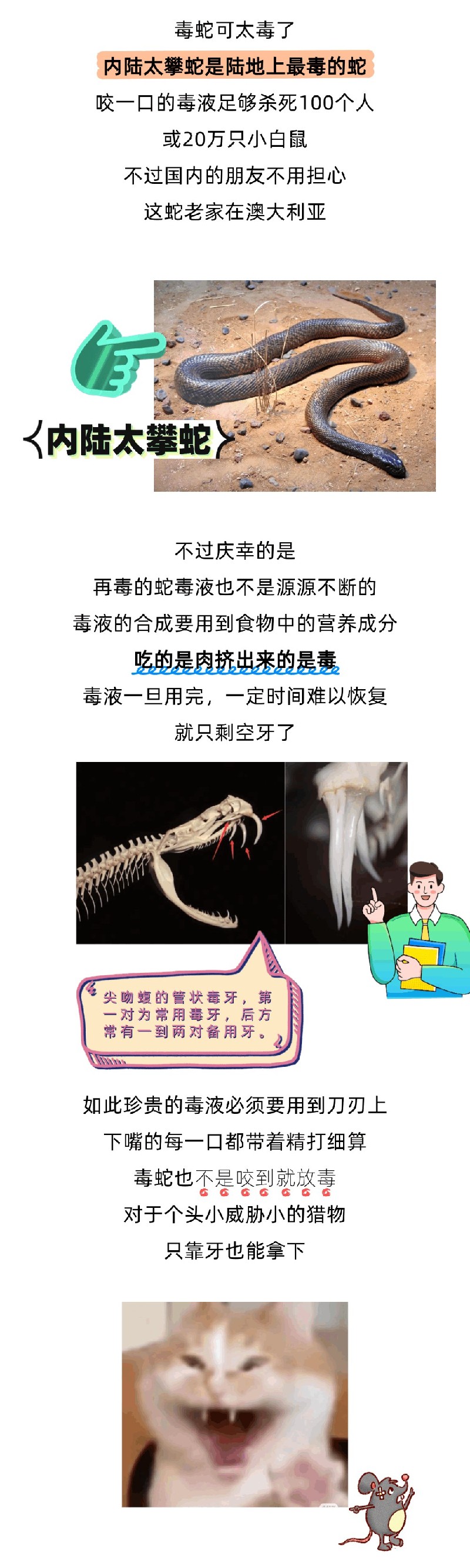 被五步蛇咬了，走四步可以吗？