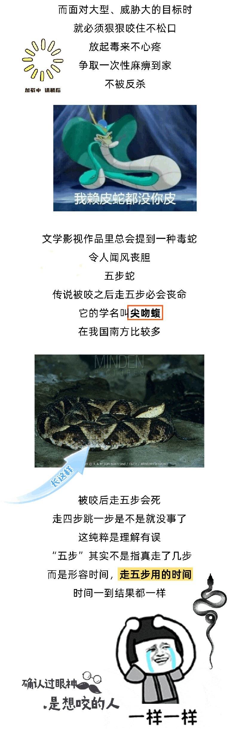 被五步蛇咬了，走四步可以吗？