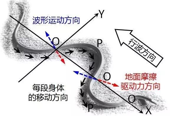 仿生蛇形机器人居然有这么多作用？