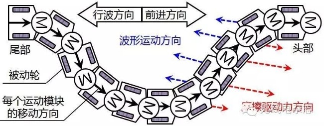 仿生蛇形机器人居然有这么多作用？