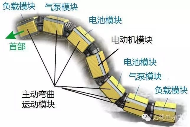 仿生蛇形机器人居然有这么多作用？
