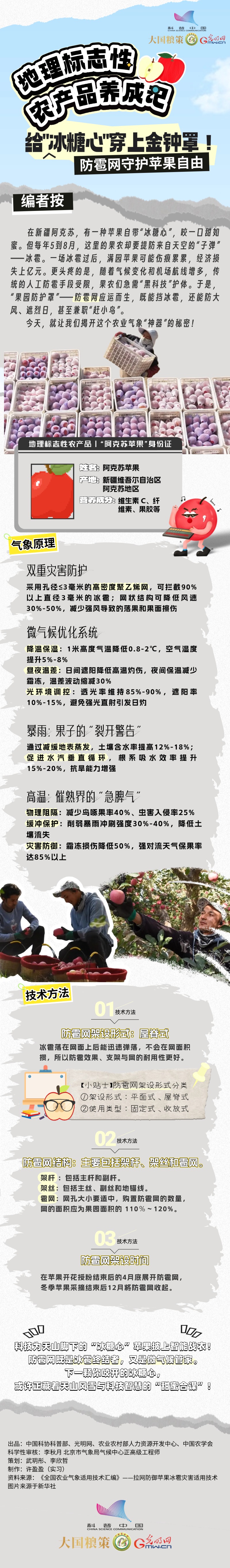 【大国粮策】地理标志性农产品丨给“冰糖心”穿上金钟罩！防雹网守护苹果自由