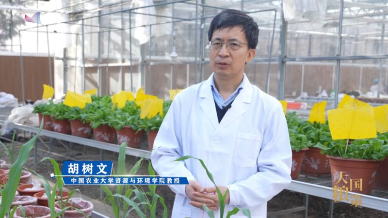 【大国粮策】寻方问药，让白土地破“碱”重生
