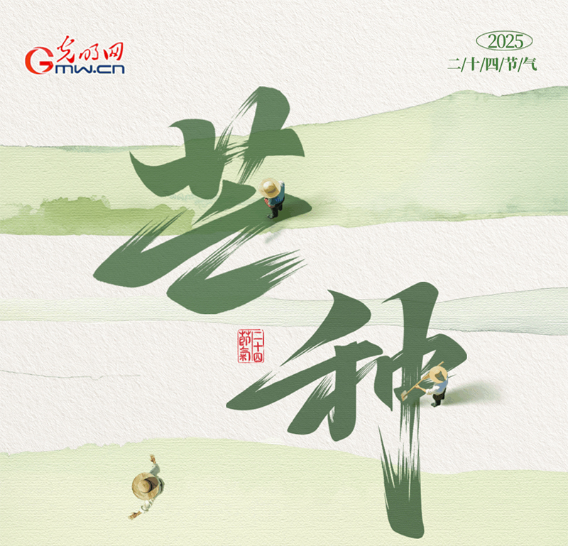 AIGC长图·芒种丨稻麦盈野，忙种祈丰