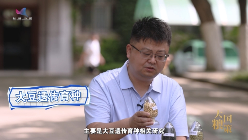 【大国粮策】育种“黑科技”，让盐碱地长出“金豆豆”