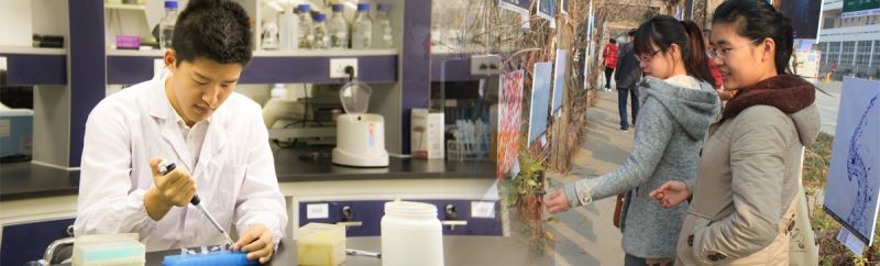 【大国粮策】作物学：从一粒种子到万千粮仓的进化密码